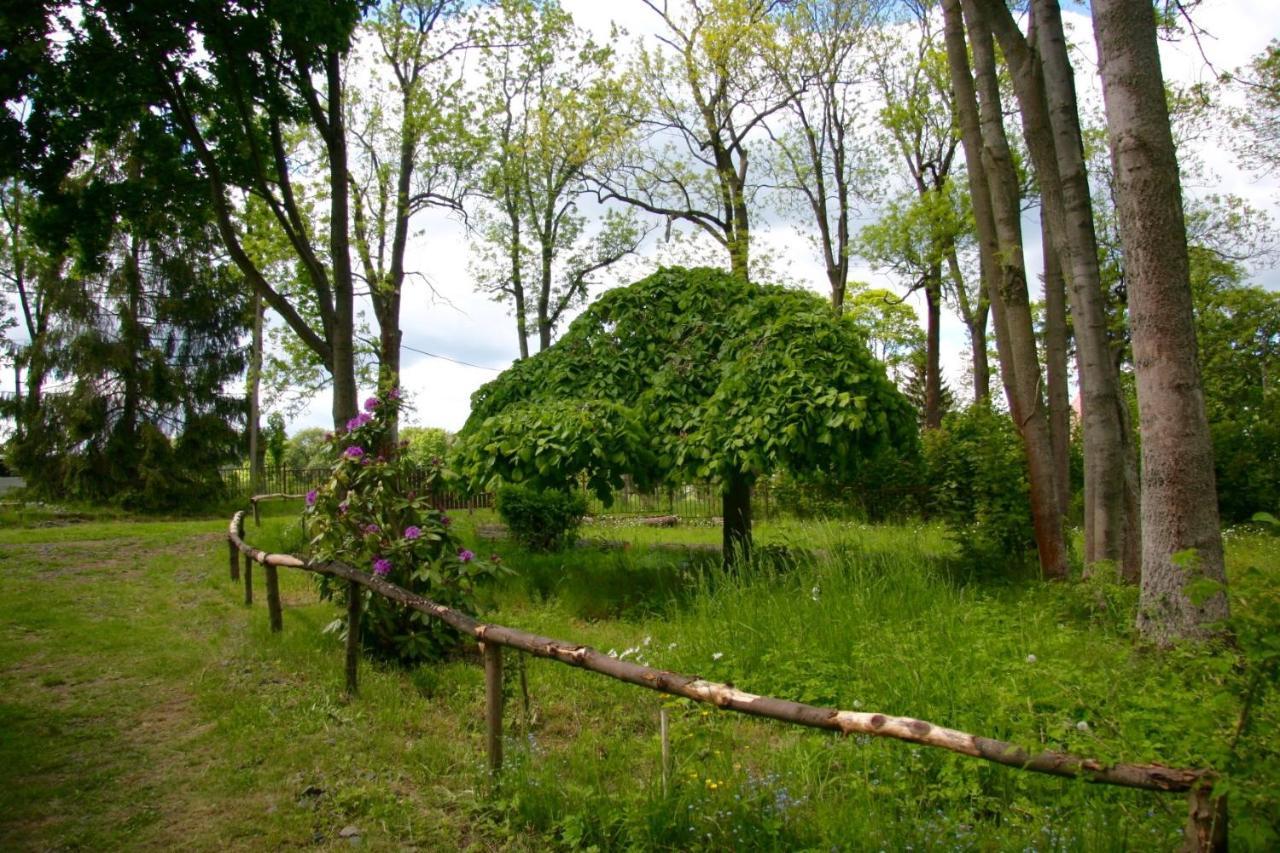 Villa Sunshine / Slunecna Vila Krasna Lipa Exterior photo